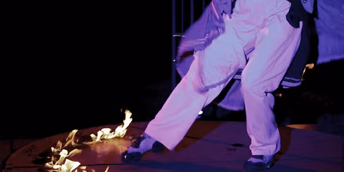 Wandeling 'Het Zwanenmeer'