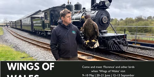 Birds of Prey Weekends