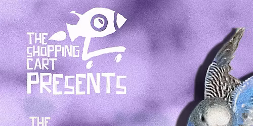 Free Entry English Improv + Stand-up Comedy for Locals and Internationals