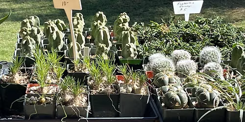 Fall Festival & Plant Sale- Maricopa County Master Gardeners