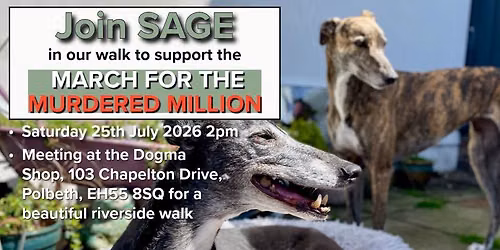 SAGE walk in support of the murdered million march