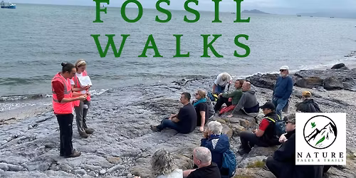 Fossil Walks, Dublin Coastline, Heritage Week