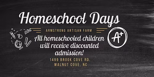 Homeschool Days at the Spring Festival 