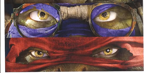Ninja Turtle Summer Camp!