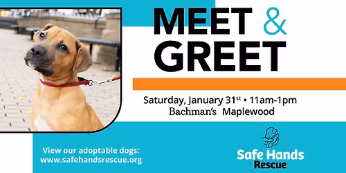 Safe Hands Rescue Meet & Greet at Bachman's (Maplewood)