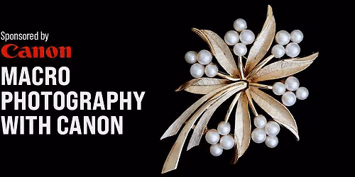 Macro Photography with Canon- Pasadena - 50th Anniversary Event