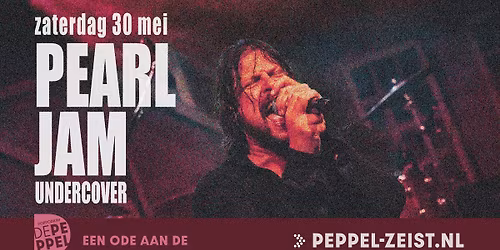 Pearl Jam Undercover