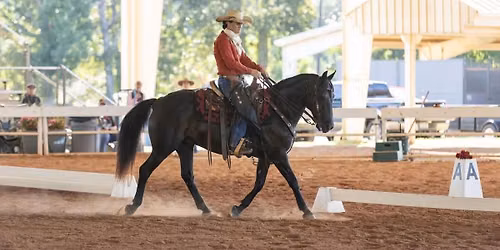 Adult Working Equitation Camp 