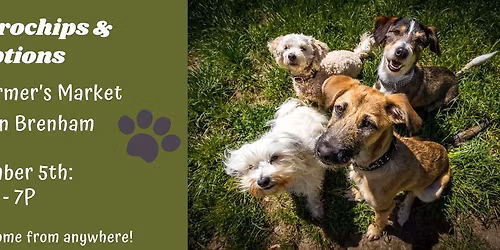 Brenham Farmer's Market- FREE adoptions & microchips