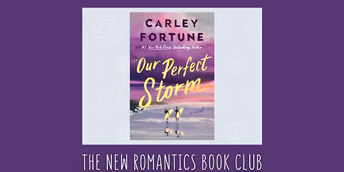 The New Romantics Book Club: OUR PERFECT STORM