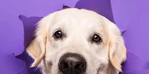 Breakthrough Portraits w\/ Zipporah