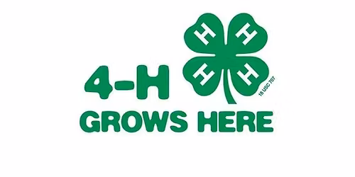Wood County 4-H Hands to Larger Service Day