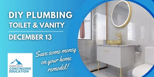 DIY PLUMBING - TOILET & VANITY