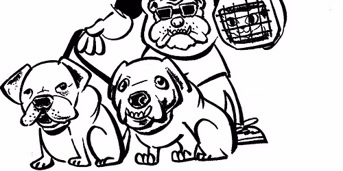 Celebrating our 10th year! Annual Comedy Show Fundraiser!