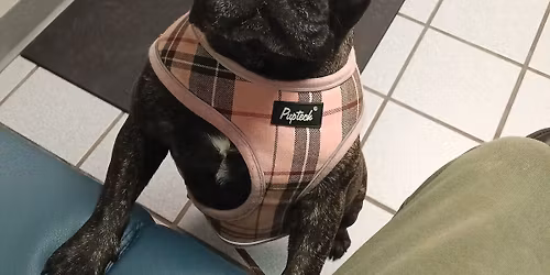 Monthly Nail Trim Clinic Stoughton