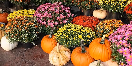 Hazlemere Gardening Association Autumn Show