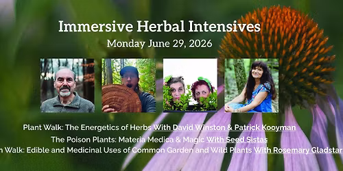 Plant Walk: The Energetics of Herbs