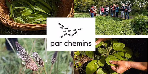Balade-d\u00e9couverte des plantes sauvages comestibles (Rennes - Prairies Saint Martin)