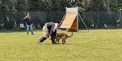 Concours Ring (COMPLET)