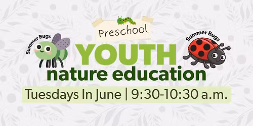 Preschool Nature Education - Summer Bugs