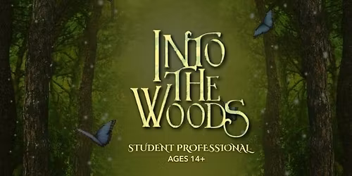 Into the Woods Student Professional