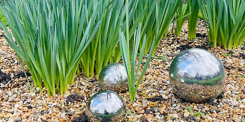 March Walk and Painting