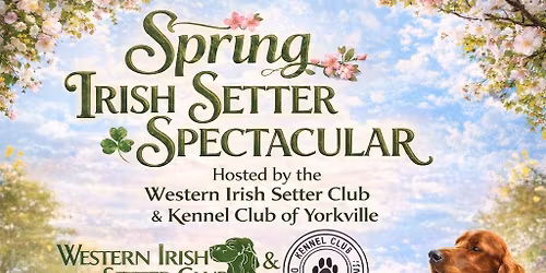 WISC Spring Irish Setter Spectacular Specialties