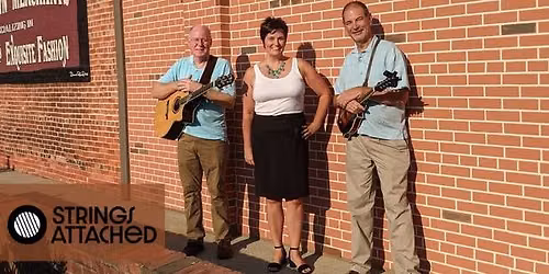Strings Attached Live at Caesar Creek Vineyards