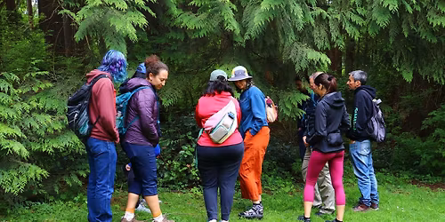 Plant Identification Walk - Surrey