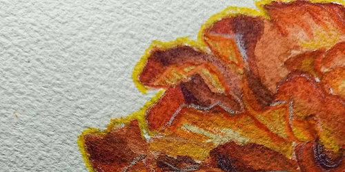 Opening night | Pulchritude by Chelsea Dudley