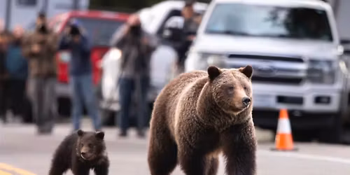 The Center Presents: 399 Forever