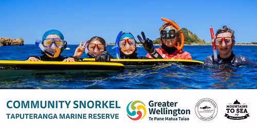 Community Snorkel: Taputeranga Marine Reserve