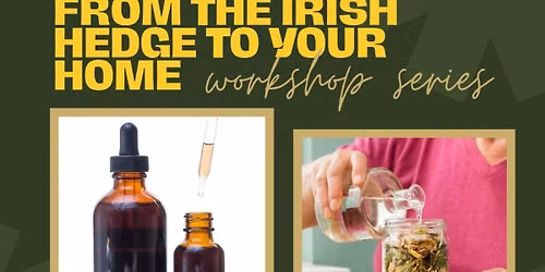 Make your own tincture and oxymel