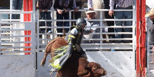 Iowa Rough Stock Rodeo