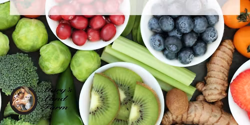 Balancing Blood Sugar: How to Get Off of the Sugar Rollercoaster!