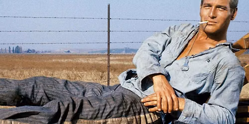 Cool Hand Luke