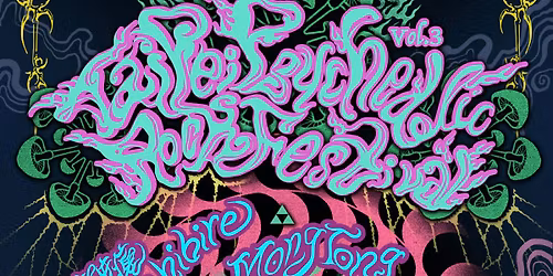 \u7b2c\u4e09\u5c46 \u53f0\u5317\u8ff7\u5e7b\u6416\u6efe\u97f3\u6a02\u7bc0 Taipei Psychedelic Rock Festival Vol.3