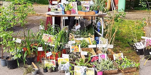 \u201eTausche Sonnenhut gegen Schafgarbe \u2026\u201c 10. Gr\u00fcner Markt am KuKuK