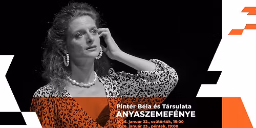 Pint\u00e9r B\u00e9la \u00e9s T\u00e1rsulata: Anyaszemef\u00e9nye \/ \u00c1trium