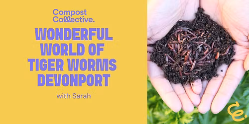 Free \u2013 The Wonderful World of Tiger Worms for Kids \u2013 Devonport