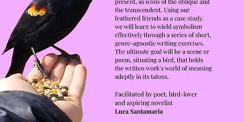 BLANK Is The Thing With Feathers by Luca Santamaria