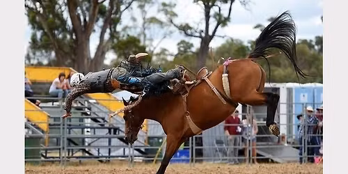 HARVEYDALE RODEO 2026