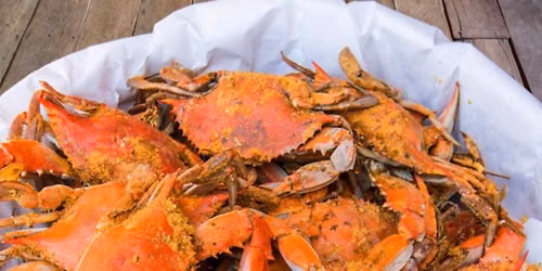 Crab Daddy OBX Experience