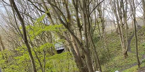 Wellbeing Walk - Shibden Park
