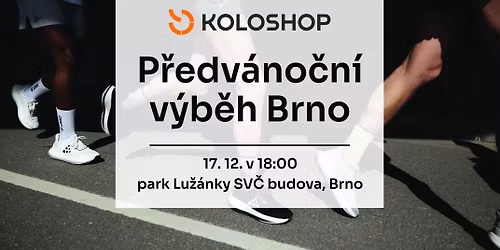 P\u0159edv\u00e1no\u010dn\u00ed v\u00fdb\u011bh Brno