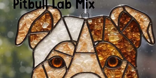 Pet Sun Catchers (Fundraiser)