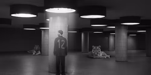 Igo in Przybysławice