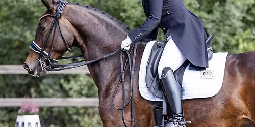 Helgekurs med June Johansen - Trening b\u00e5de med og uten hest for bedre sits og samspill med hesten