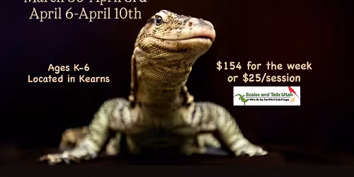 Reptile Rangers - Spring Break Junior Zookeeper Camps