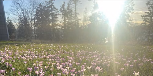 Ebb & Flow: Morning Stretch Inspired by Nature